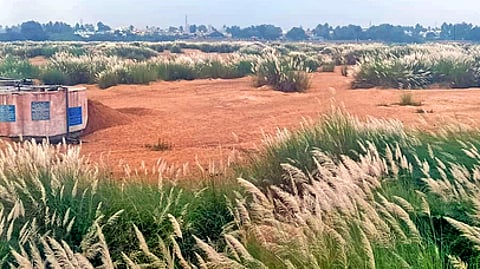 பிலிக்கல்பாளையம் அருகே காவிரி ஆற்றின் குறுக்கே உயா்நிலை பாலம் அமைப்பதற்காக தோ்வு செய்யப்பட்ட இடம்.