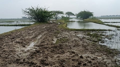 எட்டுக்குடி புறக்கோட்டகத்தில் சேறும் சகதியுமாக உள்ள பாதை