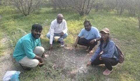 பட்டினமருதூரில் கண்டறியப்பட்ட குதிரை கால் தடப் பதிவுகள் உள்ள பகுதி.