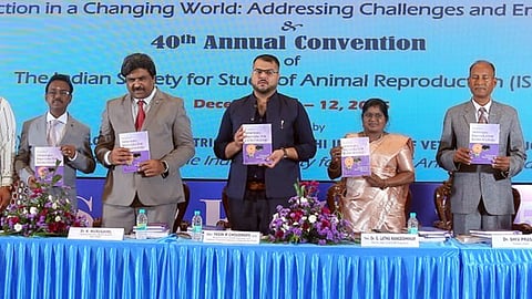 காளை மாடுகள் உற்பத்தியில் கவனம் செலுத்த அறிவுறுத்தல்