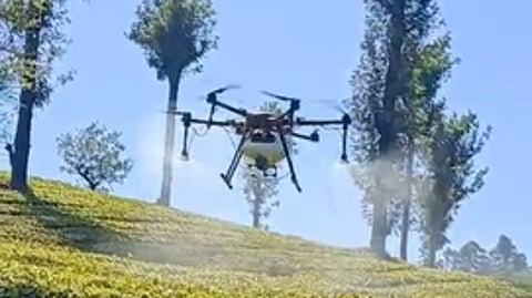 ட்ரோன் மூலம் மேற்கொள்ளப்பட்ட மருந்து தெளிக்கும் பணி (இடம். நடுமலை எஸ்டேட்)