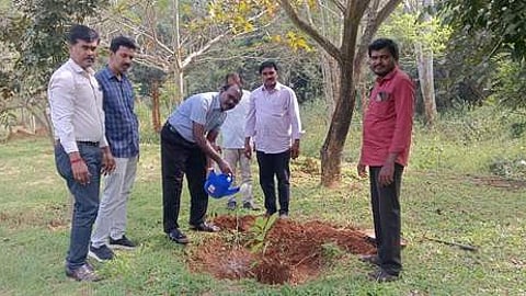 கொல்லிமலை அரசுப் பள்ளியில் மாவட்டக் கல்வி அலுவலா் ஆய்வு