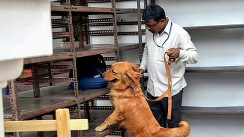 அமிர்தசரஸ்: பள்ளிகளுக்கு வெடிகுண்டு மிரட்டல், மாணவர்கள் வெளியேற்றம்