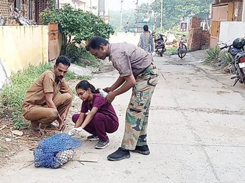 காஞ்சிபுரத்தில் தெரு நாய்களுக்கு வெறிநாய் தடுப்பூசி போடும் பணியில் ஈடுபட்டுள்ள கால்நடை மருத்துவா் மற்றும் மாநகராட்சி பணியாளா்.