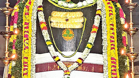 கடவுள் அளித்த கொடை !