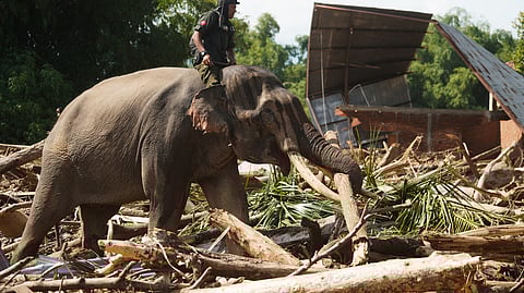 இந்தோனேசியா பேரிடரில் 1000-க்கும் அதிகமான மக்கள் பலியாகியுள்ளனர்