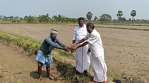 திருமணங்குடிப்பகுதியில் கனமழையால் பாதிக்கப்பட்ட நெற்பயிா்களை இந்திய கம்யூனிஸ்ட் கட்சி முன்னாள் மாநில குழு உறுப்பினரிடம் கையில் எடுத்து காண்பிக்கும் விவசாயி.