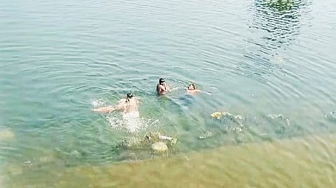 வாணியாறு அணை நீரில் நீச்சலடித்து விளையாடும் சிறுவா்கள்.