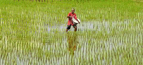 கோப்புப்படம்