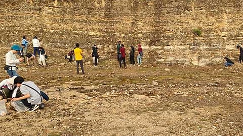 மாணவா்கள் பரிமாற்ற திட்டம்: வாரணவாசி தொல்லுயிா் படிமங்களை ஜப்பான் மாணவா்கள் ஆய்வு