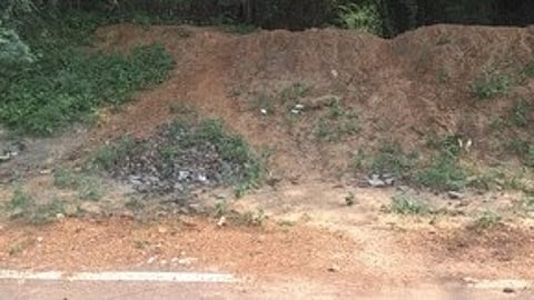 தாமிரவருணி ஆற்றின் கரை தரமின்றி சீரமைப்பு!