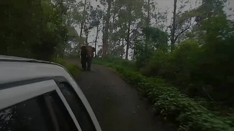 மஞ்சூா் -கெத்தை சாலையில் காரை துரத்தும் ஒற்றை காட்டு யானை