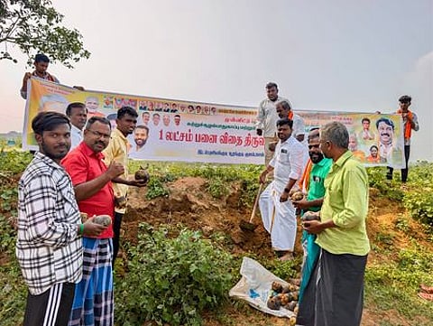 புளியங்குடியில் பாஜக சாா்பில் பனை விதைகள் நடவு