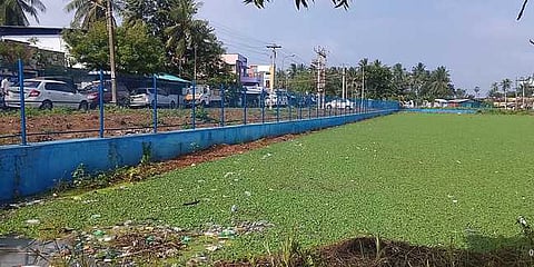 மணியாங்குளத்தில் மண்டிக்கிடக்கும் ஆகாயத்தாமரையால் சுகாதாரக் கேடு
