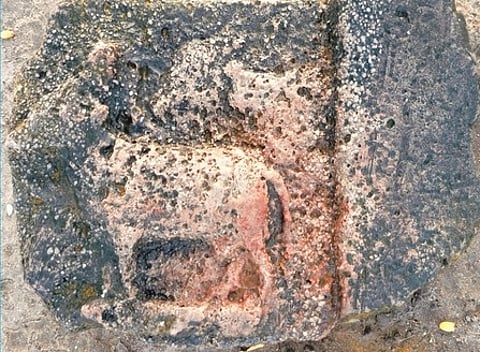 கண்டெடுக்கப்பட்ட இரட்டை பசுமாடுகள் சிற்பம் கொண்ட வழிபாட்டுக் கற்கள்.