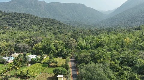 வழுக்குப்பாறை அமைந்துள்ள டேனிஷ்பேட்டை வனச்சரக பகுதி.