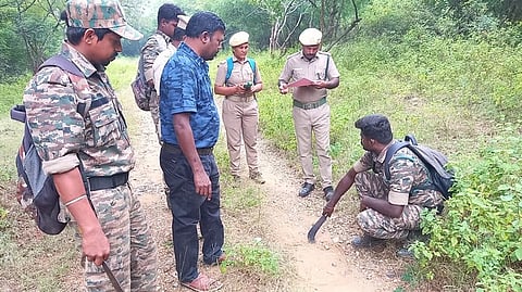 பண்ணாரி வனத்தில் புலியின் கால் தடத்தை பதிவு செய்யும் வனத் துறையினா்.