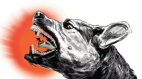 வெறிநாய்க் கடி மருந்துகளில் போலி