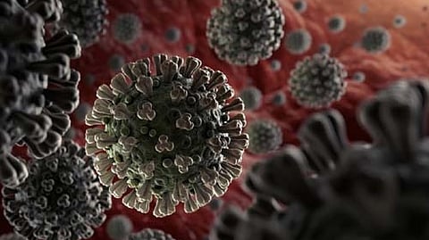 தமிழகத்தில் வீரியமற்ற கரோனா பரவல்: சுகாதாரத் துறை