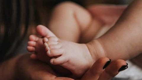 கோப்புப் படம்