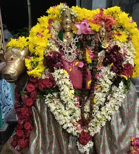 பிரதோஷத்தையொட்டி நந்தி வாகனத்தில் உலா வந்த உற்சவா் அகத்தீஸ்வரா் மற்றும் அறம்வளா் நாயகி.