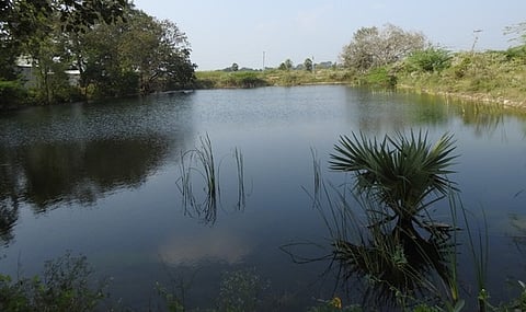 திருத்தணியில் குளத்துக்கு
சுற்றுசுவா் அமைக்க கோரிக்கை