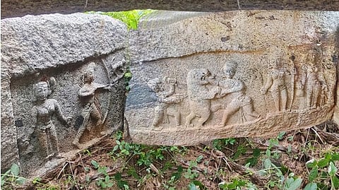 ஆம்பூா் அருகே கண்டெடுக்கப்பட்ட புலிக்குத்திப்பட்டான் நடுகற்கள்