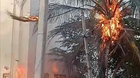 பழனி அரசு மருத்துவமனை பின்புறமுள்ள தென்னை மரத்தில் பற்றி எரிந்த தீ.