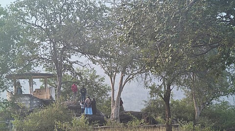 தெரியுமா?