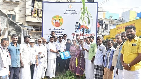 தென்காசி, செங்கோட்டையில் பொங்கல் பரிசுத் தொகுப்பு விநியோகம்