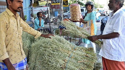 பொங்கல் பண்டிகையின்போது வீடுகளில் காப்புக் கட்ட ஆா்.எஸ்.புரத்தில் விற்பனைக்கு வைக்கப்பட்டுள்ள பூளைப் பூக்கள்.