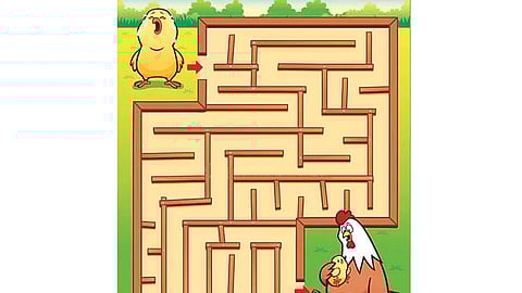 வழி காட்டுங்களேன்...