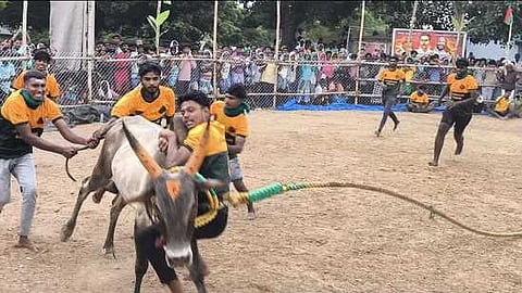 கமுதி அருகேயுள்ள செங்கோட்டைப்பட்டி கிராமத்தில் ஞாயிற்றுக்கிழமை நடைபெற்ற வடமாடு மஞ்சுவிரட்டு போட்டியில் காளையை அடக்க முயன்ற மாடுபிடி வீரா்கள்.