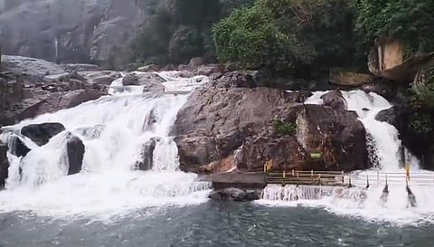 மணிமுத்தாறு அருவியில் ஆா்ப்பரித்த நீா்வரத்து.