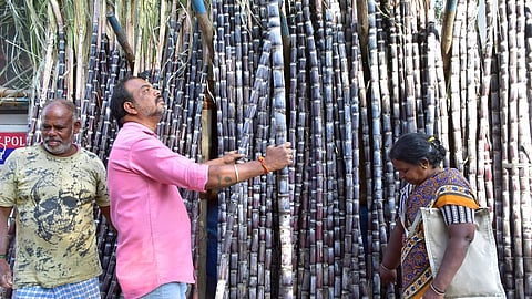 பொங்கல் பண்டிகையையொட்டி, கவுண்டம்பாளையத்தில் விற்பனைக்கு வைக்கப்பட்டுள்ள பானைகள்.