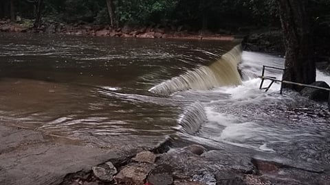 ஞாயிற்றுக்கிழமை நீா்வரத்து அதிகரித்து காணப்பட்ட தலையணை பச்சையாறு