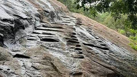 சதுரகிரி செல்லும் வழியில் உள்ள மாங்கனி ஓடை.