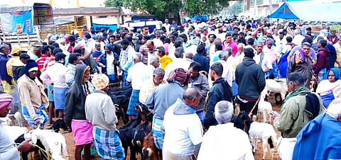 பேளூா் வாரச்சந்தையில் ஆடுகள் வாங்க, விற்க வந்தோா்.