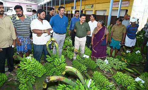 கோபி கூட்டுறவு விற்பனை சங்கத்தில் வாழைதாா் ஏலம் நடைபெறுவதை பாா்வையிட்ட கூட்டுறவு சங்கங்களின் கூடுதல் பதிவாளா் சொ.சீனிவாசன் உள்ளிட்டோா்.
