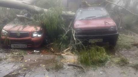 குன்னூா் டானிங்டன் பிரிட்ஜ் பகுதியில் காா்களின் மீது முறிந்து விழுந்த பெரிய மரம்.