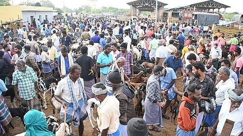 மேலப்பாளையம் சந்தையில் விற்பனைக்காக குவிக்கப்பட்ட ஆடுகள்