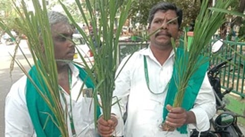 வளராத பயிா்களுடன் கூட்டத்தில் பங்கேற்க வந்த காட்பாடி பகுதி விவசாயிகள்.