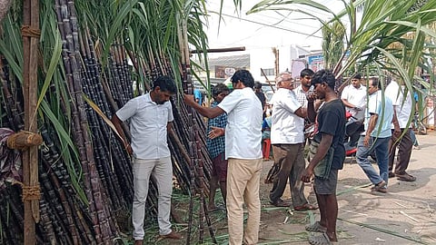 பொங்கல் பண்டிகை: நாமக்கல்லில் கரும்பு, மஞ்சள் விற்பனை அமோகம்