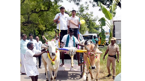 ஊராட்சி, கல்லூரிகளில் சமத்துவப் பொங்கல் விழா