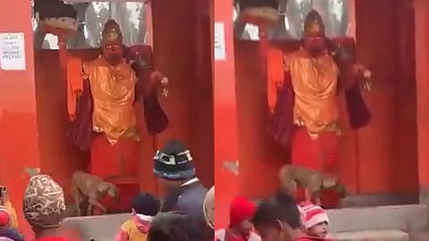 அனுமன் சிலையைச் சுற்றிவந்து வழிபாடு செய்யும் நாய்