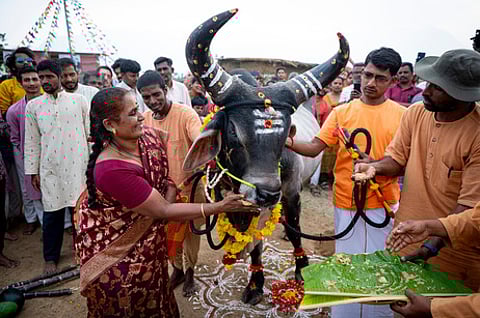 மாட்டுப்பொங்கலையொட்டி, ஈஷாவில் நாட்டு மாடுகளை அலங்கரித்து வழிபாடு மேற்கொண்ட தன்னாா்வலா்கள், மக்கள். ~மாட்டுப் பொங்கலையொட்டி, ஈஷா யோக மையத்தில் பொங்கலிட்டு வழிபாடு மேற்கொண்ட மக்கள்.