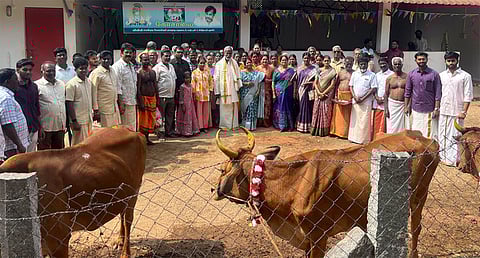 தாத்தா சாமி மஹாமடத்தில் மாட்டுப் பொங்கல் சிறப்பு கோ பூஜை