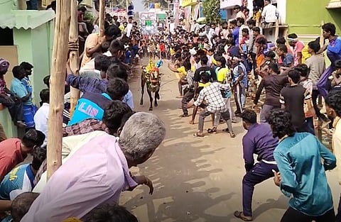 எருது விடும் விழா