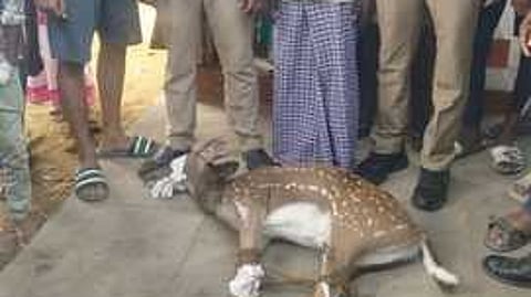 மீட்கப்பட்ட புள்ளி மானுடன் பொதுமக்கள், வனத்துறையினா்.