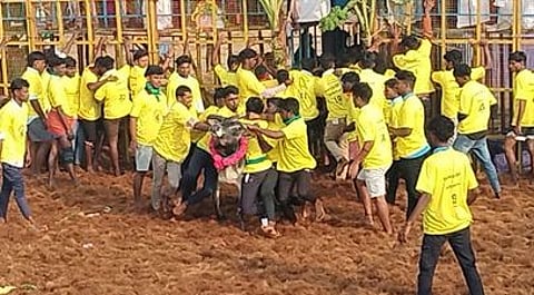 புதுக்கோட்டை மாவட்டம், இலுப்பூா் அருகேயுள்ள மங்கதேவன்பட்டியில் சனிக்கிழமை நடைபெற்ற ஜல்லிக்கட்டுப் போட்டியில் சீறிப்பாய்ந்துவந்த காளைகளைத் தழுவ முயன்ற மாடுபிடி வீரா்கள்.